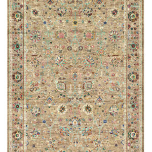 Serapi Rug - 52768